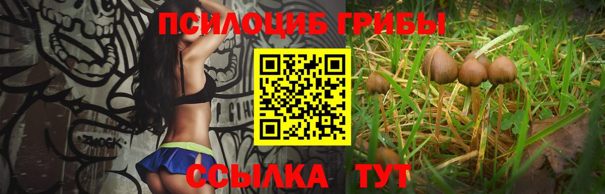 Псилоцибиновые грибы GOLDEN TEACHER Ханты-Мансийск