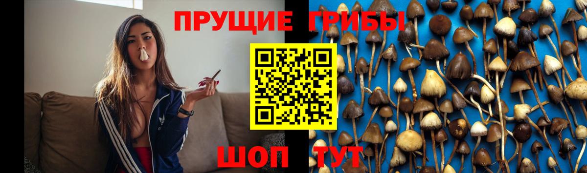Галлюциногенные грибы ЛСД  Галлюциногенные грибы мицелий  наркошоп  Ханты-Мансийск  Вход с VPN 